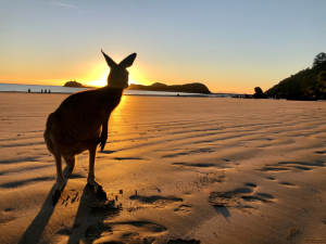 east coast australia itinerary