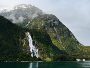 travelling new zealand