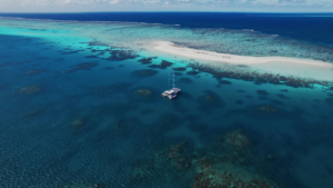 great barrier reef