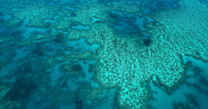 whitsundays